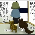 後追い期が永遠に終わらない猫