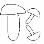 たかちゃんさんの日記