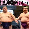 【大相撲】尊富士、1敗を守り快進撃！錦富士と共に名古屋場所を席巻中！