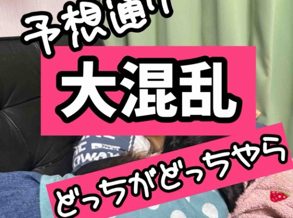 すでに上下関係が出来上がっている。