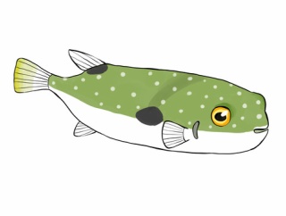 海釣りで一番簡単に釣れる魚って何？