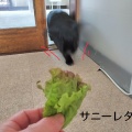 ー 幸福を呼ぶ ー
