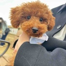 私事ですが、、( . .)