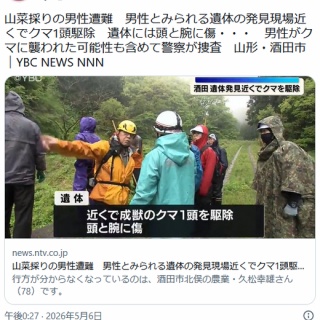 痛いニュース(ﾉ∀`)