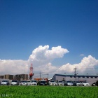 『今日のいろいろ･･･』の画像