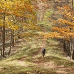 空の下の路から　〜from the trek under the sky〜