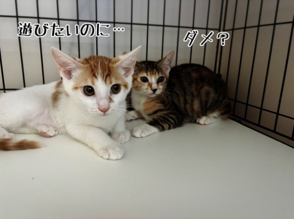 無事帰宅♪