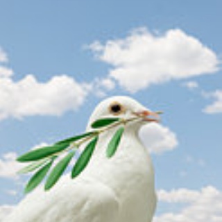 為替王