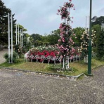 南坊園のブログ