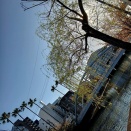 高知ごちそうさまぶらり旅(豊㐂・こよみ)