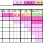 弘前公園桜情報・弘前公園紅葉情報