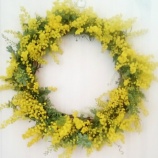 �ءڥե�Lesson�Τ�����۽դ�©��򴶤�����ߥ⥶�꡼����å���٤β���