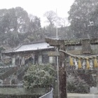 『雪』の画像