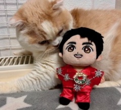 こひろみくん（郷ひろみさんのぬいぐるみ）の服作り⑨