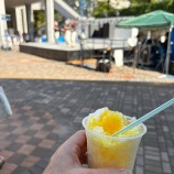 『差し入れは、かき氷マンゴー味. 初めて食べました。』の画像