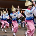 横浜 彩華連（神奈川県横浜市）
