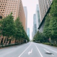 道路上のバカ発見器ｗｗｗｗｗｗｗｗ