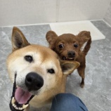 『わたしはわたし☺️』の画像