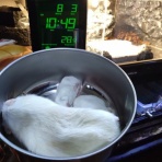 今日もテキトーに