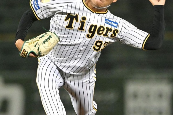 阪神タイガース 野口恭佑 山田脩也 久保田智之 サイン色紙 3点セット