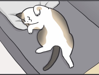 29日はお空のぺーやんの日