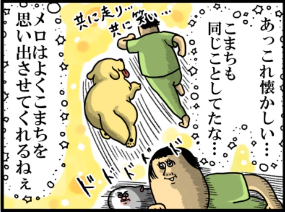 犬なのでは？って瞬間ありすぎる猫