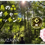 東信さんぽ