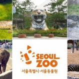『韓国の動物園で大量死』の画像
