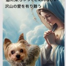 ルナちゃんが🌈虹の橋を渡って行きました。