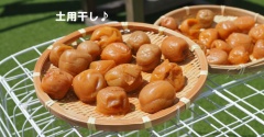土用干し♪