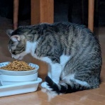 urushizutoぐみ と