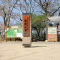 春の高尾山に登ってみる