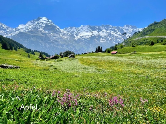 インスタグラムのフォロワー1万人を突破 ♪