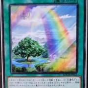 遊戯王OCG】調整版テラフォになった虹の橋ビフレスト : スターライト