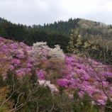『岩根神社から法善寺、秩父鉄道野上駅へ』の画像