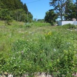 『晴れ　所によりやませ』の画像