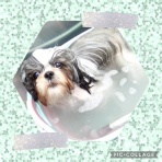 日々、ＪＡＭにあり