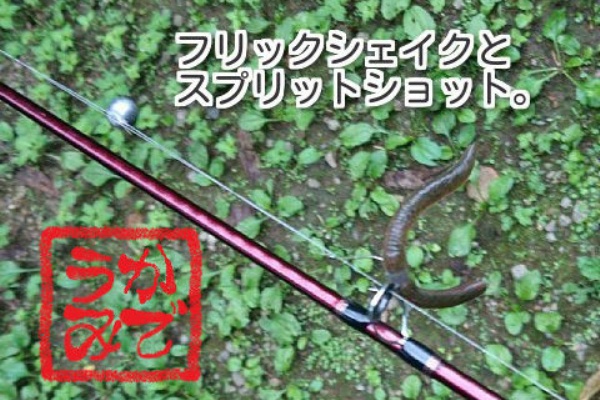 苦手にチャレンジ 家電の海に溺れたい