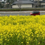 『春の花に癒され　Enjoy Sports！』の画像