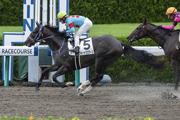 気ままにメモリアル フォートワズワース