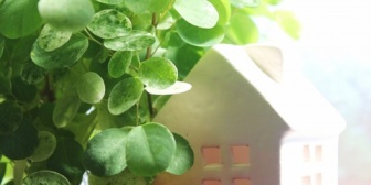【家を建てる予定】廊下を極限まで減らした間取りにしたいのだが…