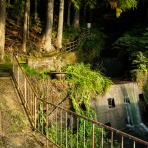 （ ﾟ毒ﾟ）< しんどい。