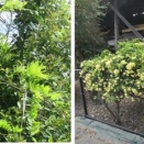 海南市の亀池公園を散策