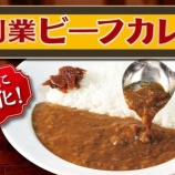 『【悲報】「松屋、カレーやめるってよ」→オリジナルカレー(390円)を廃止して創業ビーフカレー(490円)を定番化してしまうwww』の画像