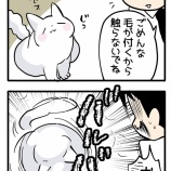 絶対ダメなその瞬間を待ってた猫。