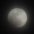 皆既月食、なんとか見れた