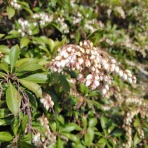 京都❤山里に暮らす