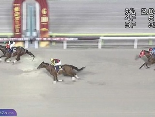 【競馬】ダート2冠馬フィンガーにアメリカ遠征プラン浮上