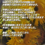月見草のように・・・