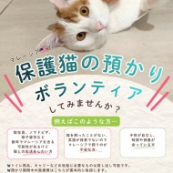 船便がやってきた！